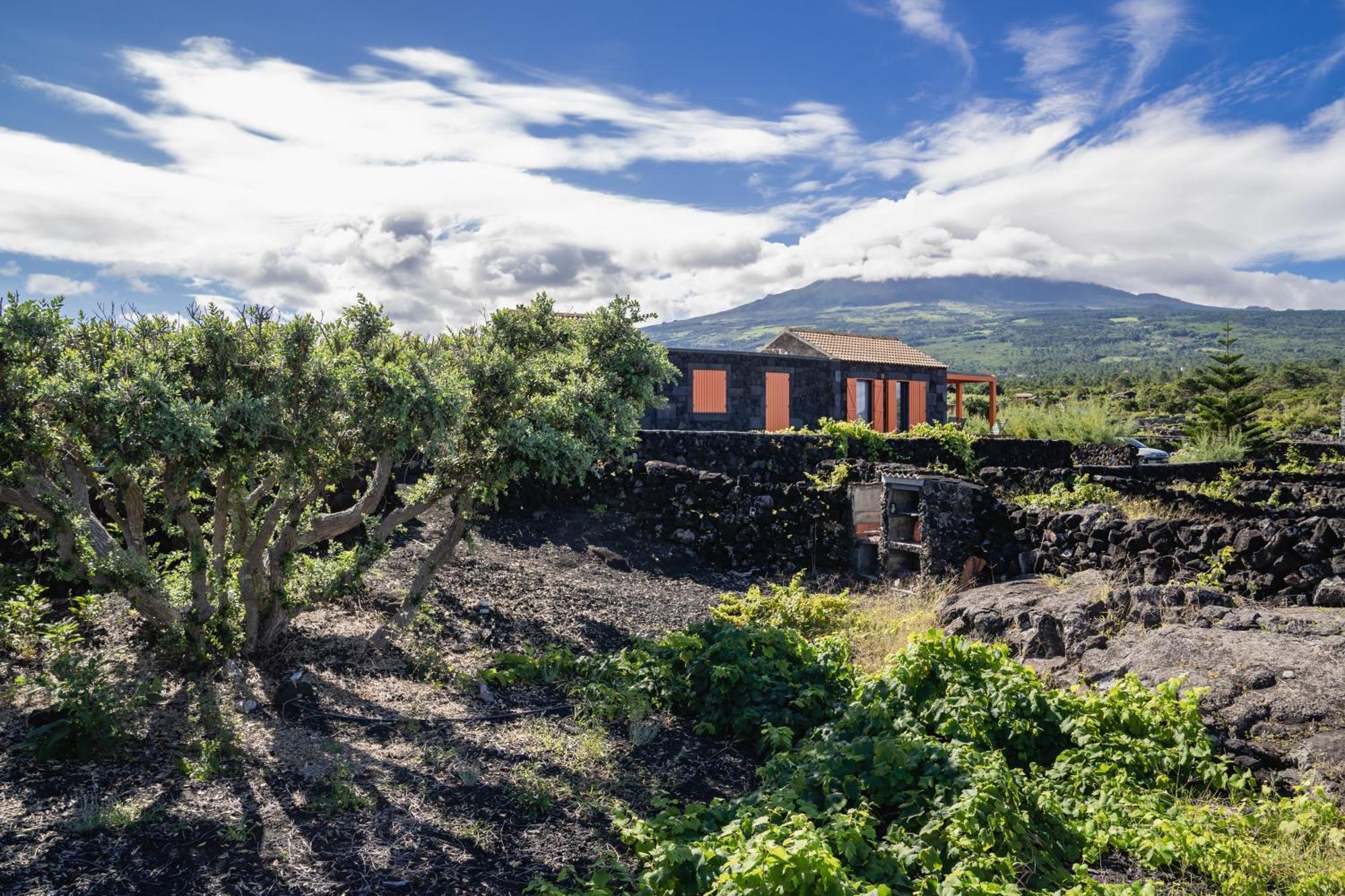 Paraíso do Triângulo Lajido Exterior foto